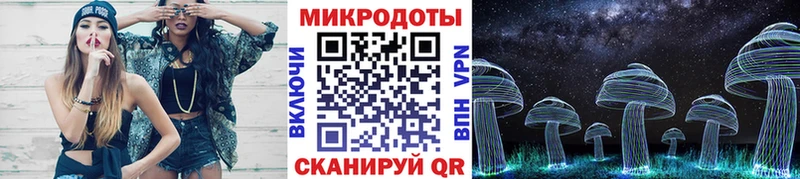 Купить Рыльск Галлюциногенные грибы Psilocybe
